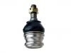 Joint de suspension Ball joint:21067-GA050