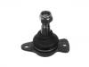 Joint de suspension Ball joint:7701 461 667