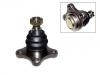 Ball Joint:MB241818
