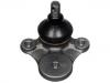 Ball Joint:0603-99-354A