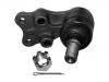 Joint de suspension Ball Joint:8-94365-165-0