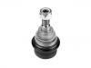 Joint de suspension Ball Joint:77 00 312 851