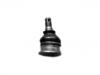 Ball Joint:43310-59025