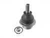 Joint de suspension Ball Joint:KT6C11 3K209 BA