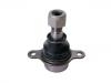 Ball Joint:KT6C113K209AA