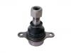 Joint de suspension Ball Joint:KT6C113K209AA