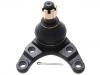 Joint de suspension Ball Joint:UR61-34-550