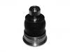 Ball Joint:54501-1HA6A#