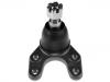 Joint de suspension Ball Joint:UR58-34-550