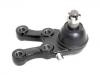 Ball Joint:54528-4A800